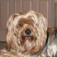 Find Laura Ann Cornwall Phone Number, Location, Email, and more on Intelius