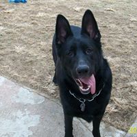 Find Laura Benson Kane Phone Number, Location, Email, and more on Intelius