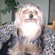 Find Laura M Mann Phone Number, Location, Email, and more on Intelius