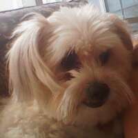 Find Lauri Ann Whack Phone Number, Location, Email, and more on Intelius