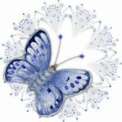 Find Laurie Rasmussen Phone Number, Location, Email, and more on Intelius