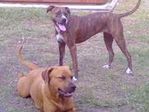 Find Laurie Jeanne Sullivan Phone Number, Location, Email, and more on Intelius