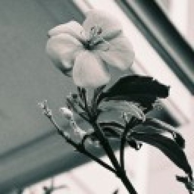 Find Leah Y Weitz Phone Number, Location, Email, and more on Intelius