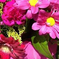 Find Leanne Kaye Wise Phone Number, Location, Email, and more on Intelius