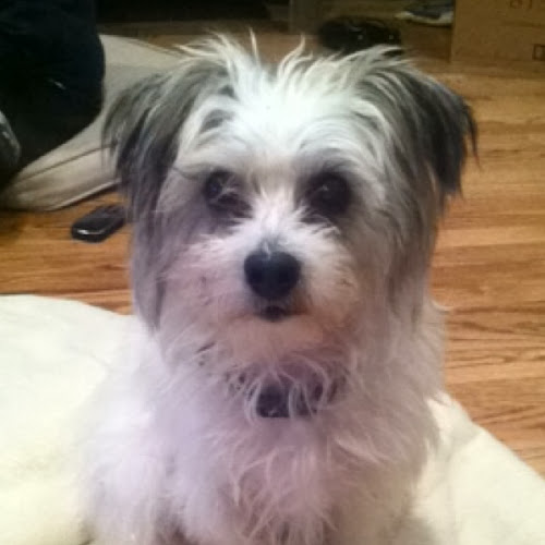 Find Leesa Mccann Sugars Phone Number, Location, Email, and more on Intelius