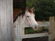 Find Leigh Anne Bowen Phone Number, Location, Email, and more on Intelius