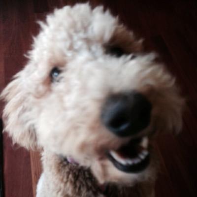 Find Lenore C Levy Phone Number, Location, Email, and more on Intelius