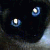 Find Lernard Eugene Mack Phone Number, Location, Email, and more on Intelius