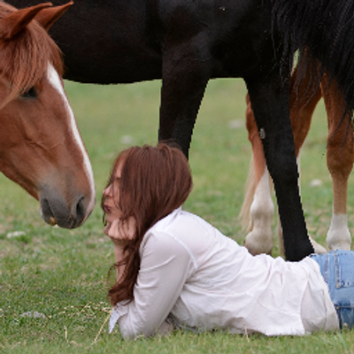 Find Lesa Ann Molitor Phone Number, Location, Email, and more on Intelius