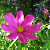 Find Leslie D Williams Phone Number, Location, Email, and more on Intelius