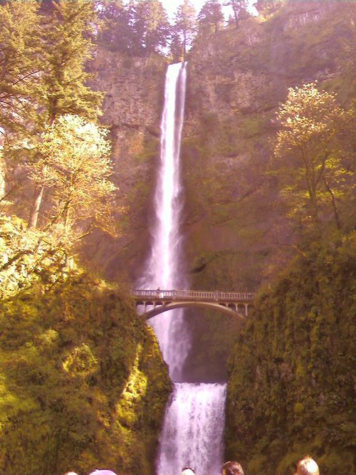 Find Levi Nicholas Simantel Phone Number, Location, Email, and more on Intelius