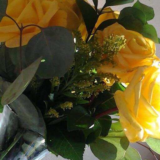 Find Lina Aleman Marquez Phone Number, Location, Email, and more on Intelius