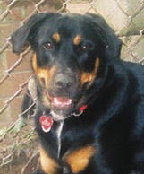 Find Linda C Fields Phone Number, Location, Email, and more on Intelius