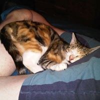 Find Linda Kay Grayson Phone Number, Location, Email, and more on Intelius