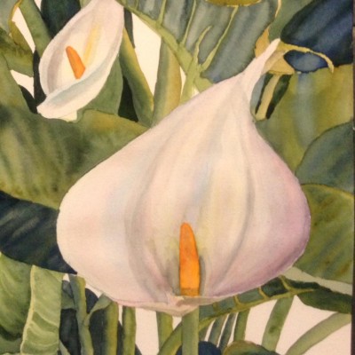 Find Linda Palmor Phone Number, Location, Email, and more on Intelius