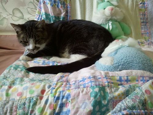 Find Linda J Williamson Phone Number, Location, Email, and more on Intelius