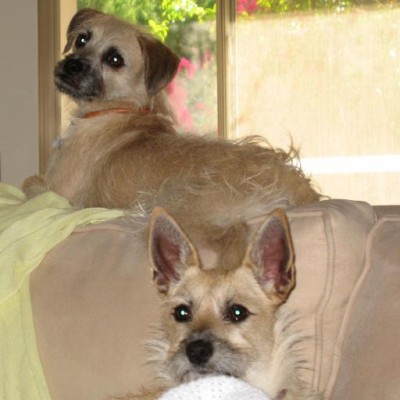 Find Lindsey Elizabeth Laughlin Phone Number, Location, Email, and more on Intelius