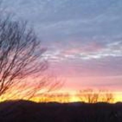 Find Lisa Flowers Clements Phone Number, Location, Email, and more on Intelius