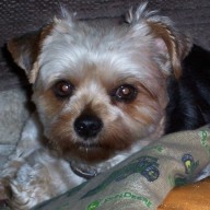 Find Lisa Marie Cook Phone Number, Location, Email, and more on Intelius