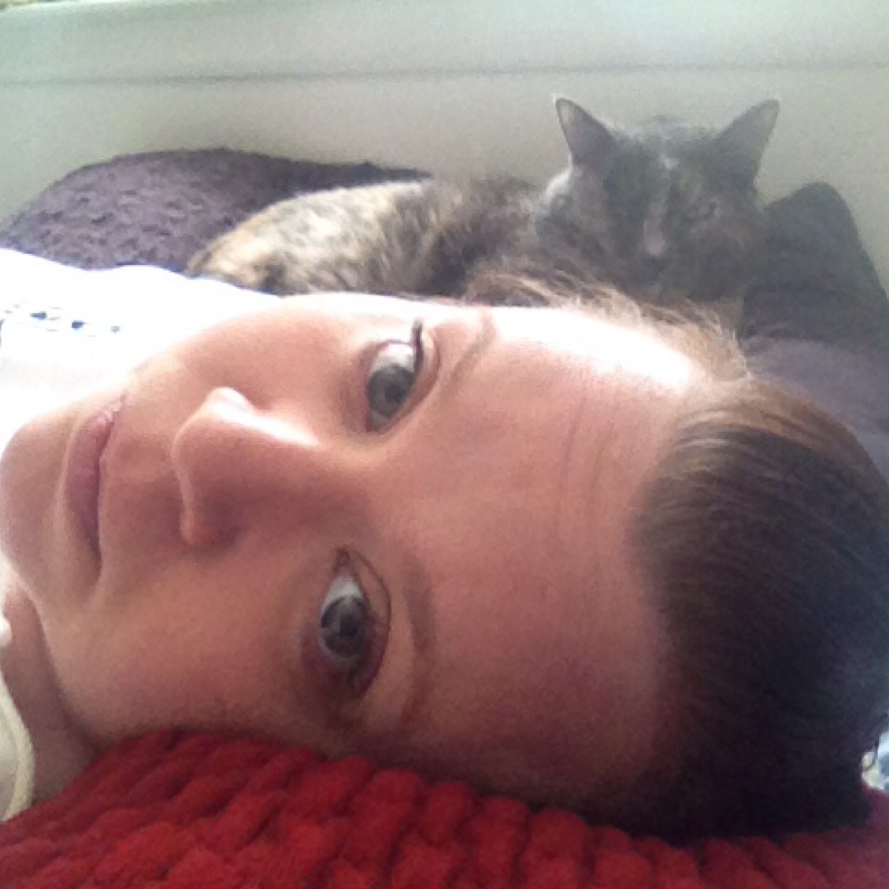 Find Lisa A Hansen Phone Number, Location, Email, and more on Intelius