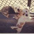 Find Lisa Y MU Phone Number, Location, Email, and more on Intelius