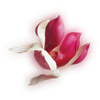 Find Lisa A Prosser Phone Number, Location, Email, and more on Intelius