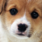 Find Lisa Celis Smith Phone Number, Location, Email, and more on Intelius