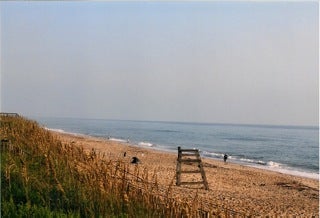Find Lisa Strawn Phone Number, Location, Email, and more on Intelius