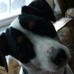 Find Lisa A Strivelli Phone Number, Location, Email, and more on Intelius