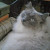 Find Lisa Marie Weeks Phone Number, Location, Email, and more on Intelius