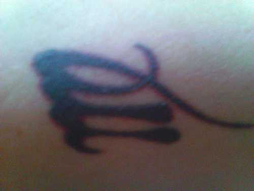 Find Lorena N Valenzuela Phone Number, Location, Email, and more on Intelius