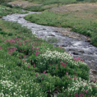 Find Lori Jean Carr Phone Number, Location, Email, and more on Intelius
