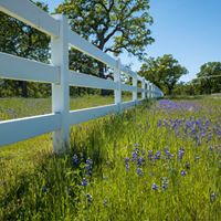 Find Lori Ann Dana Phone Number, Location, Email, and more on Intelius