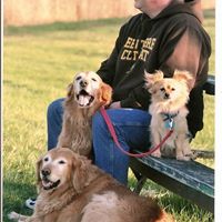 Find Lori Anne Ertel Phone Number, Location, Email, and more on Intelius