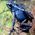 Find Lori A Purdy Phone Number, Location, Email, and more on Intelius