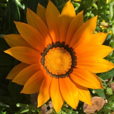 Find Lori J Willert Phone Number, Location, Email, and more on Intelius