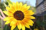 Find Lyndsey E Price Phone Number, Location, Email, and more on Intelius