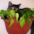 Find Lynn Richard Fox Phone Number, Location, Email, and more on Intelius