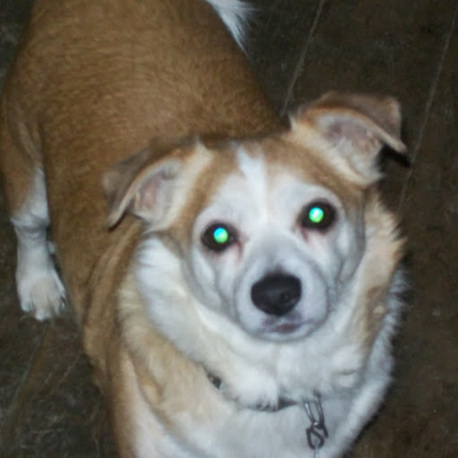Find Madison Bailey Phone Number, Location, Email, and more on Intelius