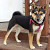 Find Mandy F Davidson Phone Number, Location, Email, and more on Intelius