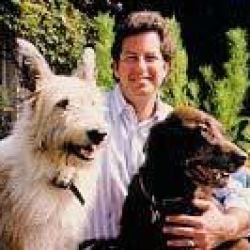 Find Marc Harley Bittan Phone Number, Location, Email, and more on Intelius