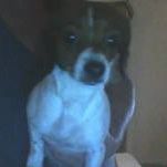 Find Marcus Tyrone Hodge Phone Number, Location, Email, and more on Intelius