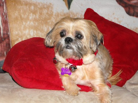 Find Margarita Giordano Phone Number, Location, Email, and more on Intelius