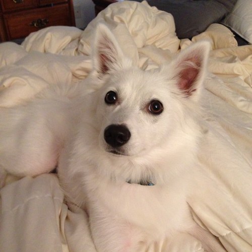Find Maria C Pantaleo Phone Number, Location, Email, and more on Intelius