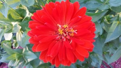 Find Marie E Hutson Phone Number, Location, Email, and more on Intelius