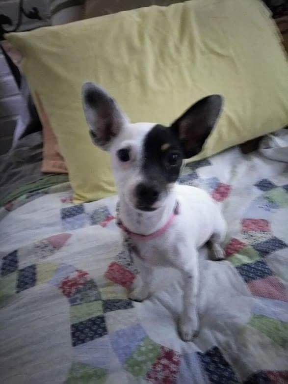 Find Marion L Wetherbee Phone Number, Location, Email, and more on Intelius