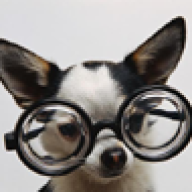 Find Mark Danie Allen Phone Number, Location, Email, and more on Intelius