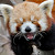 Find Mark A Anders Phone Number, Location, Email, and more on Intelius