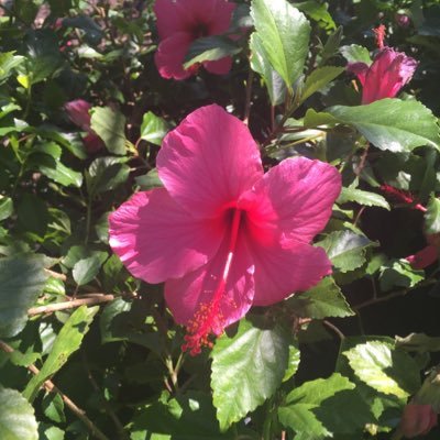 Find Mark Robert Donahue Phone Number, Location, Email, and more on Intelius