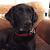 Find Mark N Mauldin Phone Number, Location, Email, and more on Intelius